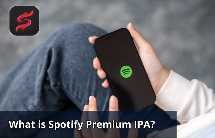 what-is-spotify-premium-ipa